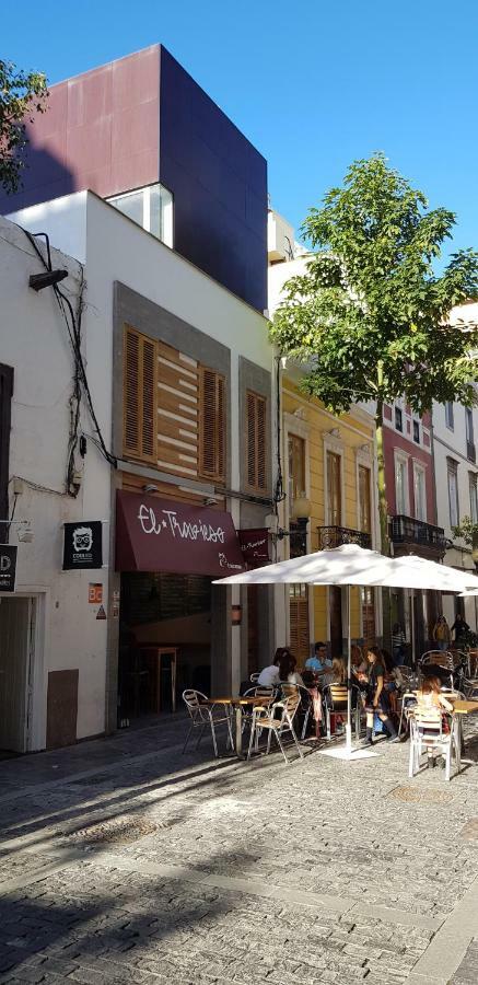 Lofts Msh Canarias Лас-Пальмас-де-Гран-Канария Экстерьер фото